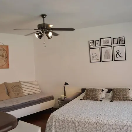 Grand Climatisé Proche Plages Juan Les Pins Apartamento *